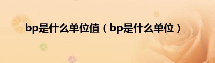 bp是什么单位值（bp是什么单位）