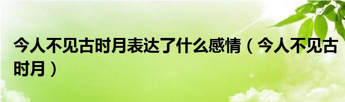 今人不见古时月表达了什么感情（今人不见古时月）