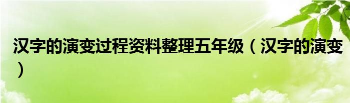 汉字的演变过程资料整理五年级（汉字的演变）