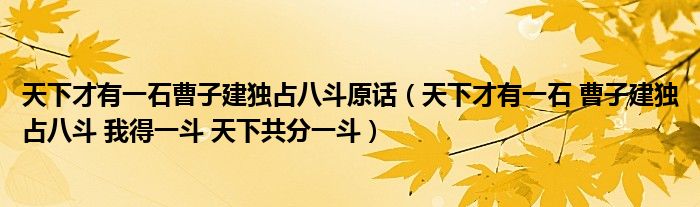 天下才有一石曹子建独占八斗原话（天下才有一石 曹子建独占八斗 我得一斗 天下共分一斗）