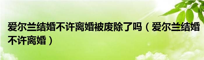 爱尔兰结婚不许离婚被废除了吗（爱尔兰结婚不许离婚）