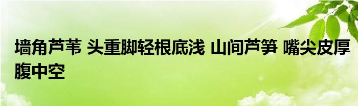 墙角芦苇 头重脚轻根底浅 山间芦笋 嘴尖皮厚腹中空