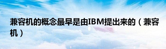 兼容机的概念最早是由IBM提出来的（兼容机）