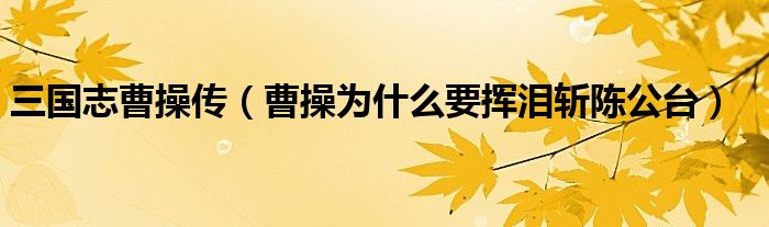 三国志曹操传（曹操为什么要挥泪斩陈公台）