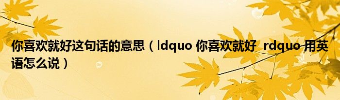 你喜欢就好这句话的意思（ldquo 你喜欢就好  rdquo 用英语怎么说）