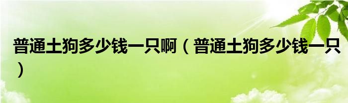 普通土狗多少钱一只啊（普通土狗多少钱一只）