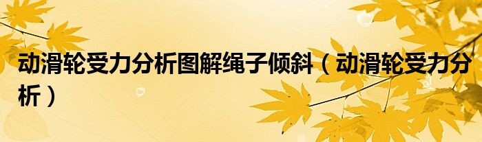 动滑轮受力分析图解绳子倾斜（动滑轮受力分析）