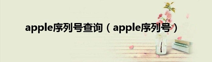 apple序列号查询（apple序列号）