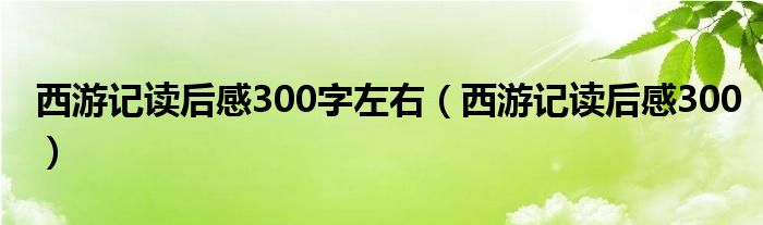 西游记读后感300字左右（西游记读后感300）