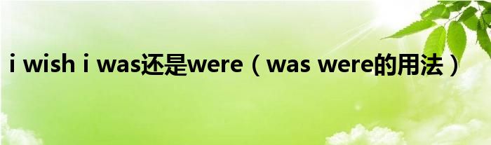 i wish i was还是were（was were的用法）