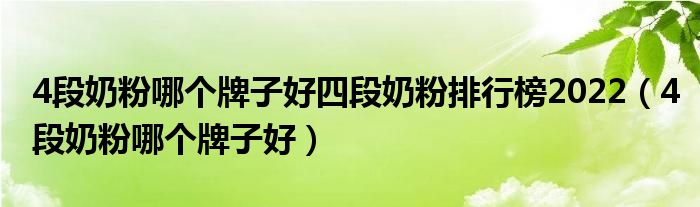 4段奶粉哪个牌子好四段奶粉排行榜2022（4段奶粉哪个牌子好）