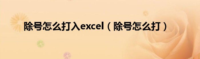 除号怎么打入excel（除号怎么打）