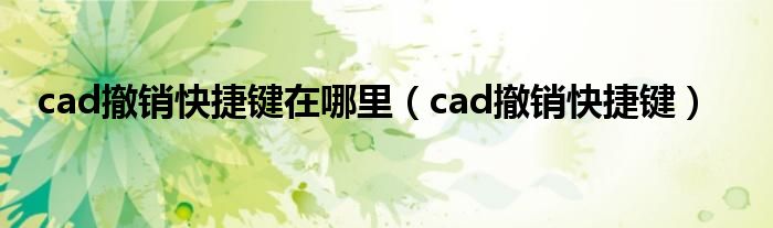 cad撤销快捷键在哪里（cad撤销快捷键）