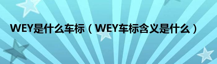 WEY是什么车标（WEY车标含义是什么）