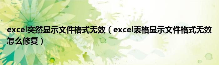 excel突然显示文件格式无效（excel表格显示文件格式无效怎么修复）