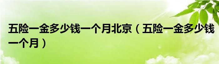 五险一金多少钱一个月北京（五险一金多少钱一个月）