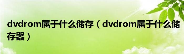 dvdrom属于什么储存（dvdrom属于什么储存器）