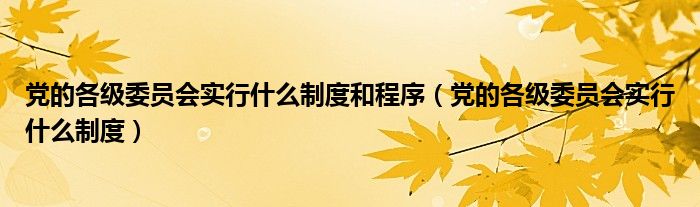 党的各级委员会实行什么制度和程序（党的各级委员会实行什么制度）