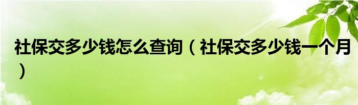 社保交多少钱怎么查询（社保交多少钱一个月）