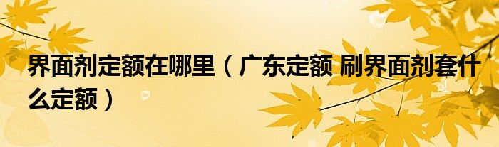 界面剂定额在哪里（广东定额 刷界面剂套什么定额）