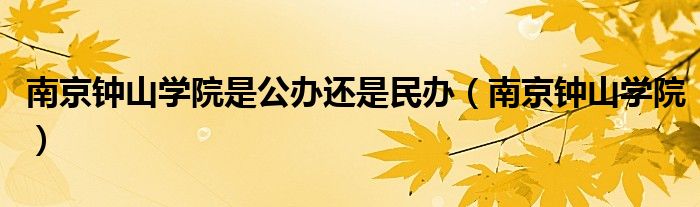 南京钟山学院是公办还是民办（南京钟山学院）