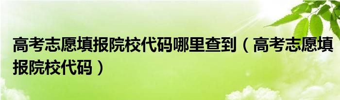 高考志愿填报院校代码哪里查到（高考志愿填报院校代码）