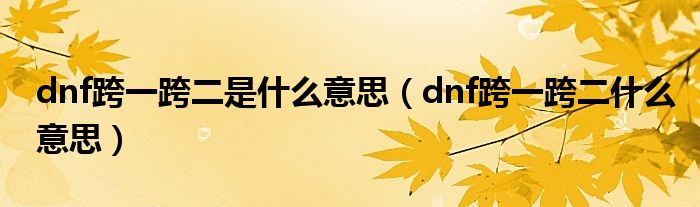 dnf跨一跨二是什么意思（dnf跨一跨二什么意思）