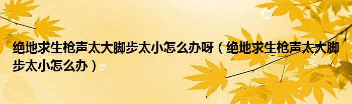 绝地求生枪声太大脚步太小怎么办呀（绝地求生枪声太大脚步太小怎么办）