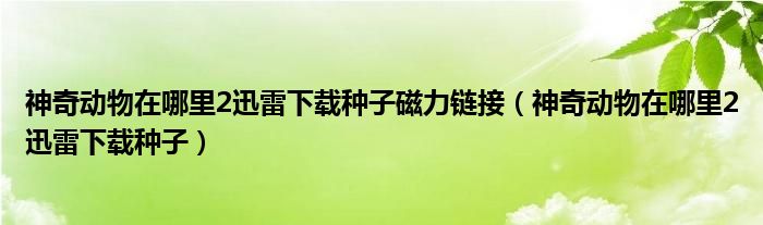 神奇动物在哪里2迅雷下载种子磁力链接（神奇动物在哪里2迅雷下载种子）