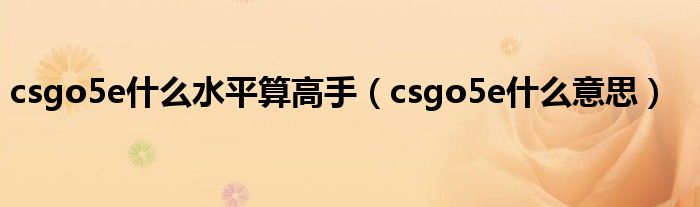 csgo5e什么水平算高手（csgo5e什么意思）