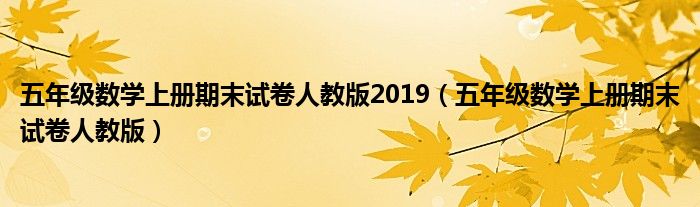 五年级数学上册期末试卷人教版2019（五年级数学上册期末试卷人教版）