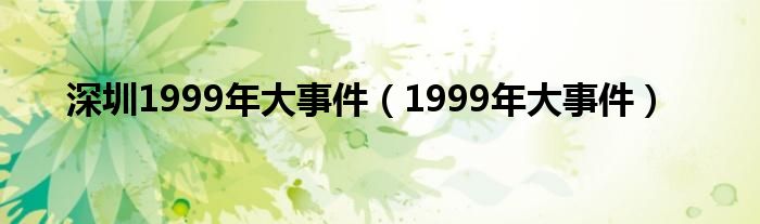 深圳1999年大事件（1999年大事件）