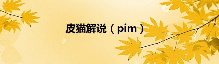 皮猫解说（pim）