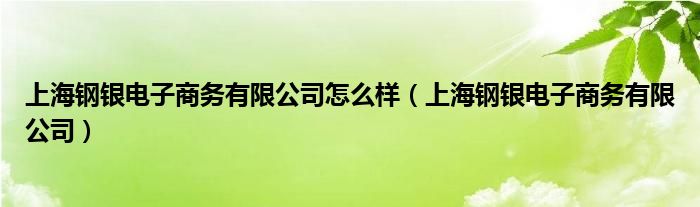 上海钢银电子商务有限公司怎么样（上海钢银电子商务有限公司）