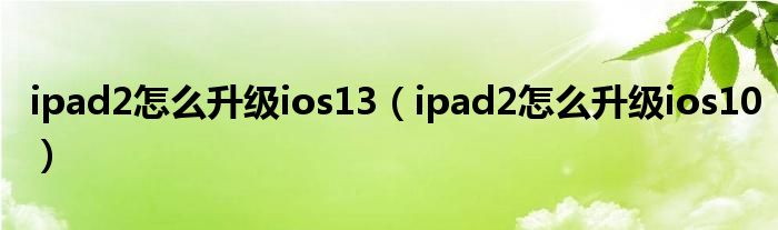 ipad2怎么升级ios13（ipad2怎么升级ios10）