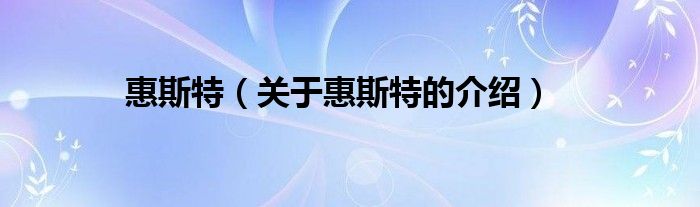 惠斯特（关于惠斯特的介绍）