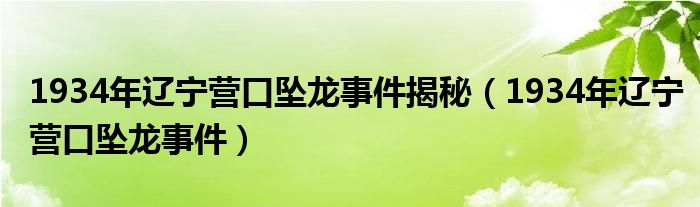 1934年辽宁营口坠龙事件揭秘（1934年辽宁营口坠龙事件）