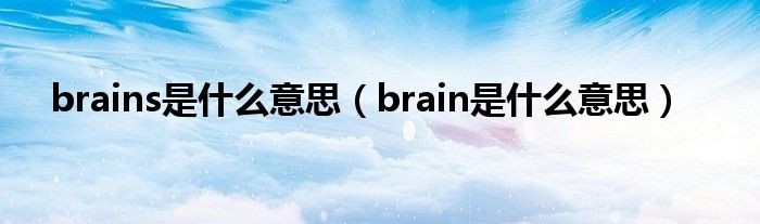 brains是什么意思（brain是什么意思）