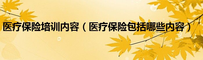 医疗保险培训内容（医疗保险包括哪些内容）