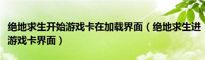 绝地求生开始游戏卡在加载界面（绝地求生进游戏卡界面）