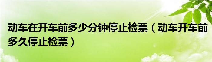 动车在开车前多少分钟停止检票（动车开车前多久停止检票）