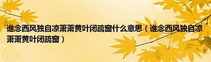 谁念西风独自凉萧萧黄叶闭疏窗什么意思（谁念西风独自凉 萧萧黄叶闭疏窗）