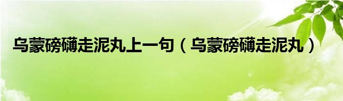 乌蒙磅礴走泥丸上一句（乌蒙磅礴走泥丸）