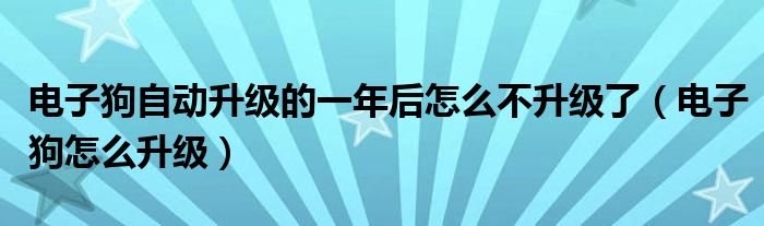 电子狗自动升级的一年后怎么不升级了（电子狗怎么升级）