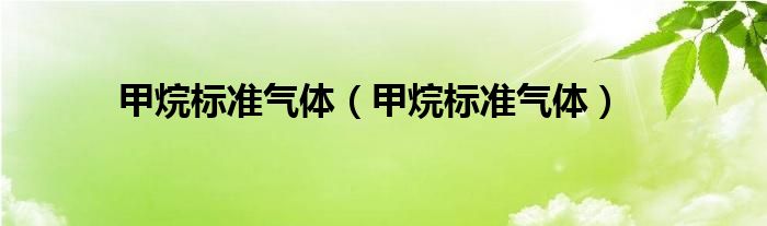 甲烷标准气体（甲烷标准气体）