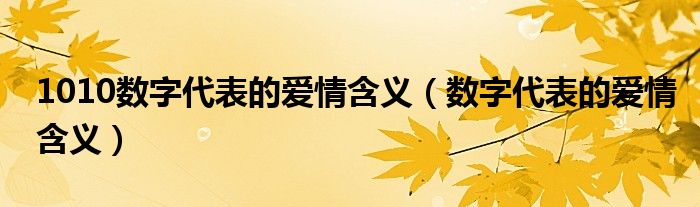 1010数字代表的爱情含义（数字代表的爱情含义）