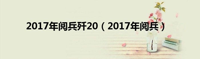 2017年阅兵歼20（2017年阅兵）