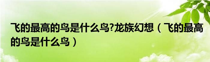 飞的最高的鸟是什么鸟?龙族幻想（飞的最高的鸟是什么鸟）