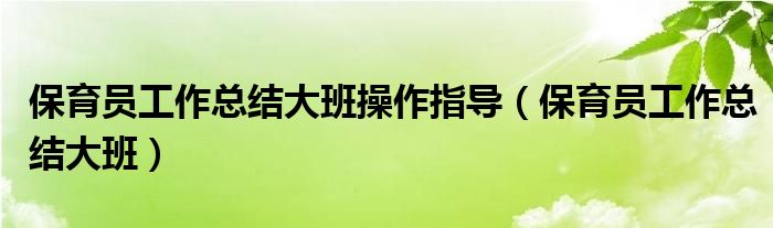 保育员工作总结大班操作指导（保育员工作总结大班）