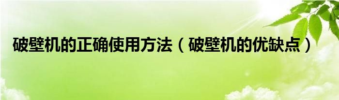 破壁机的正确使用方法（破壁机的优缺点）